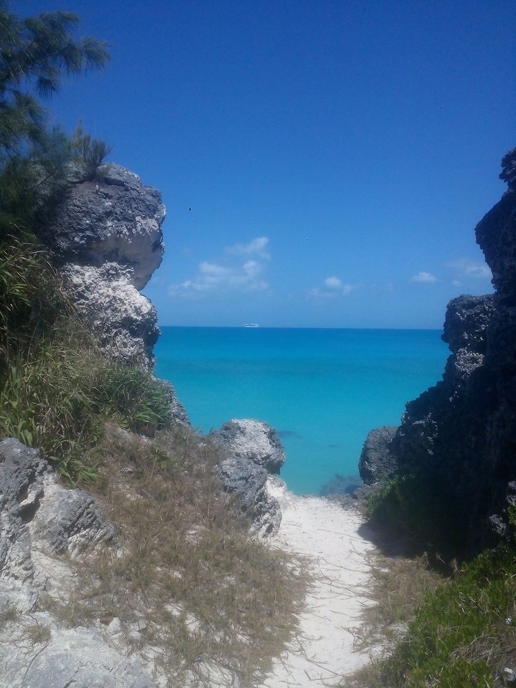 Photograph by Darlene