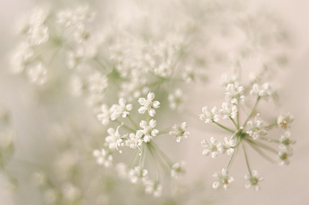 Photograph by Наталья Мищенко