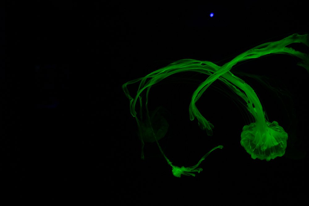 Photograph by Tatiana Oskina