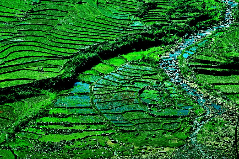 Photograph by MỸ THUẬN HUỲNH