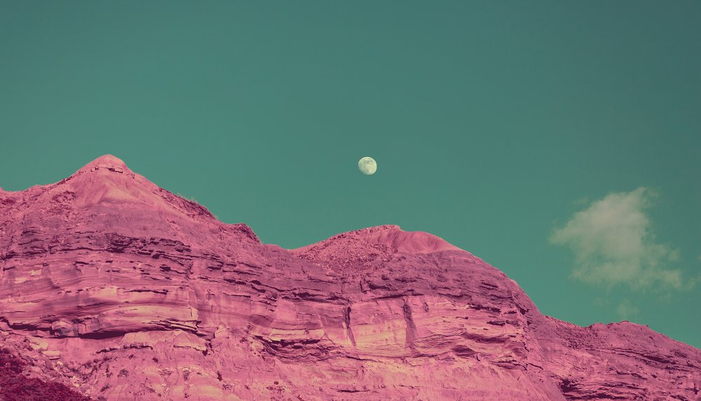 Photograph by Aleksandra