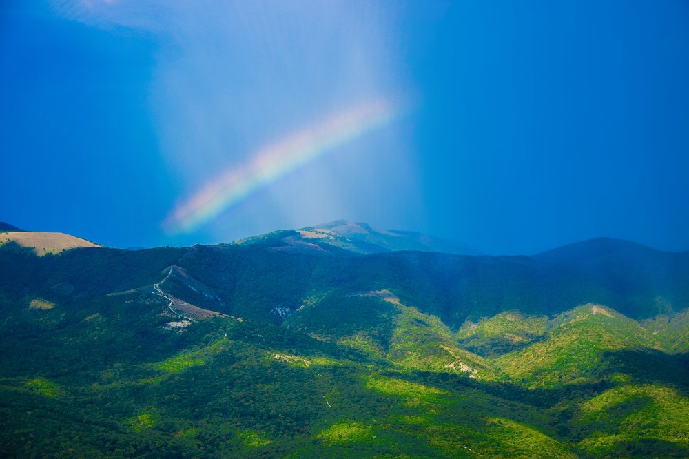 Photograph by Владимир Сиволапов