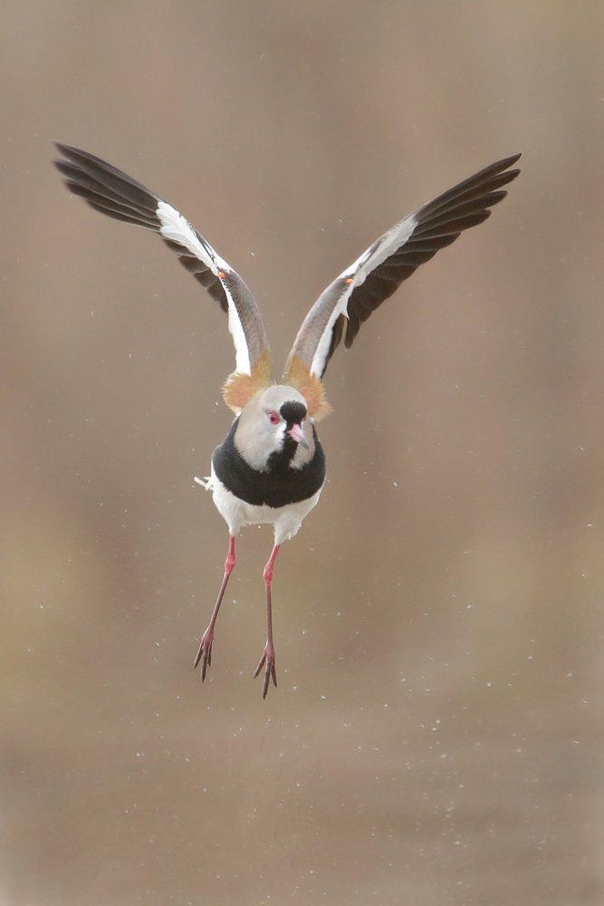 Photograph by Gonzalez Paul Andres