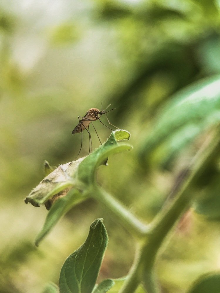 Photograph by Оксана Лукшина