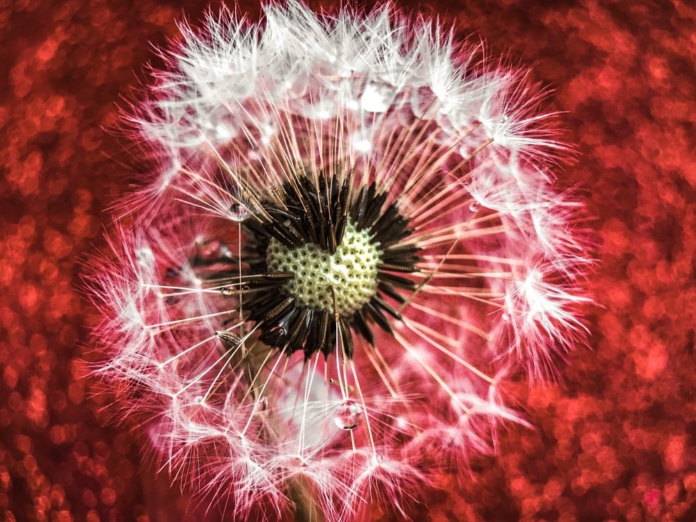 Photograph by Оксана Лукшина