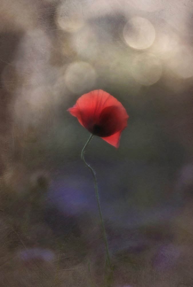 Photograph by Инна Буглак