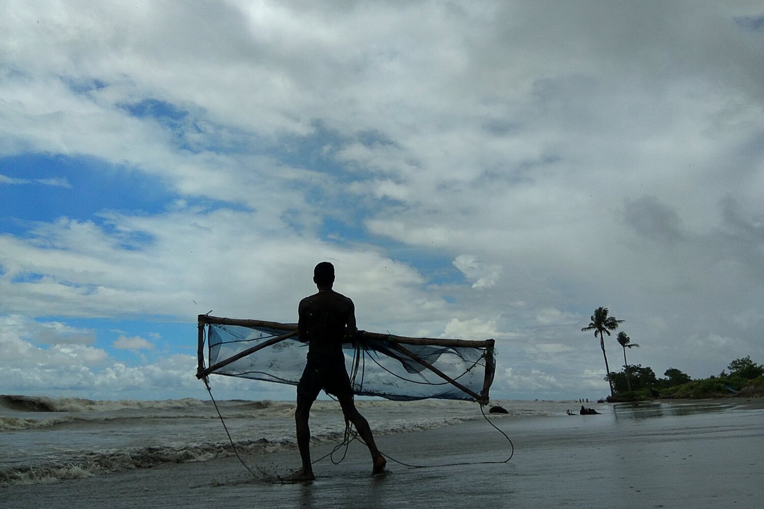 Photo #3614662