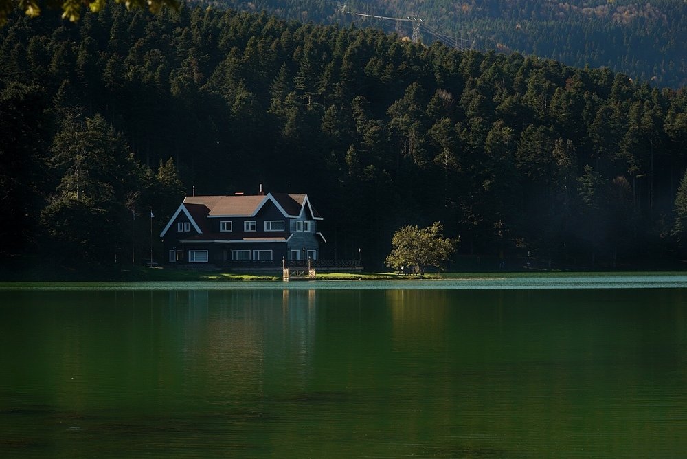 Photograph by mine senturk