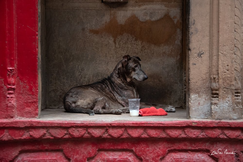 Photograph by Chetan Verma