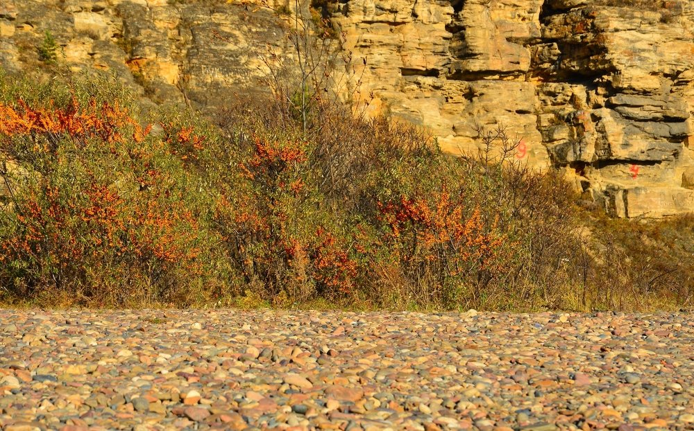 Photograph by Nadezhda