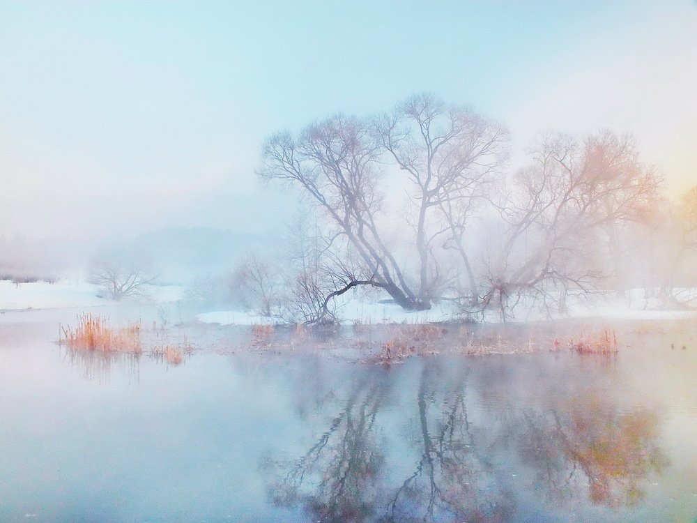 Утренняя тишина