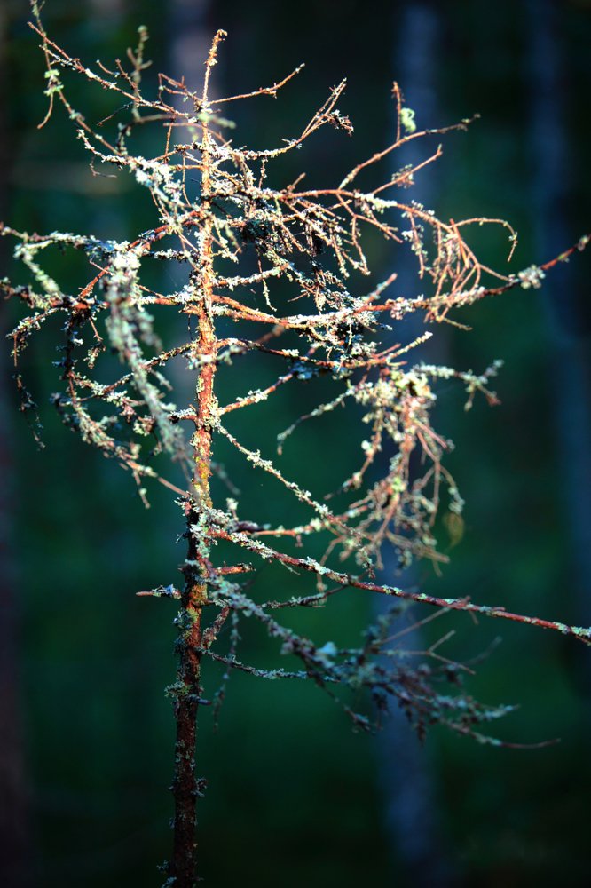 Photograph by Володя Овчаров