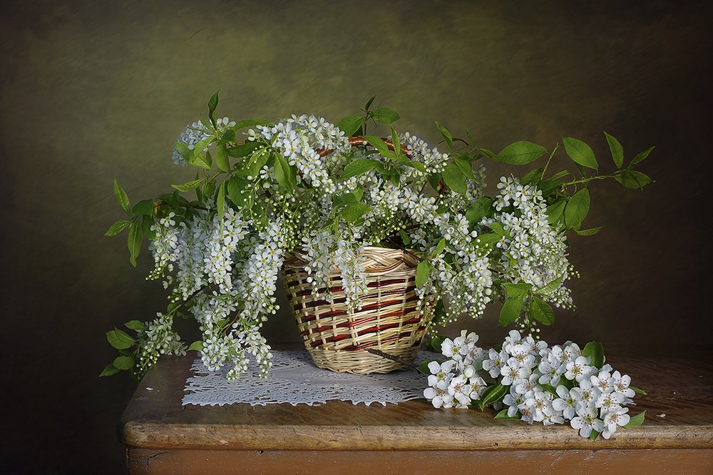 Photograph by Вера  Павлухина