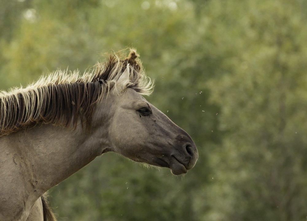 Фотография автора Marleen Jamers