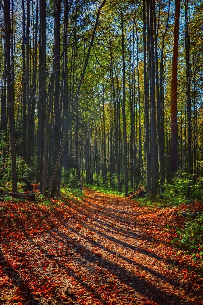 Photograph by Алексей Ошвинцев