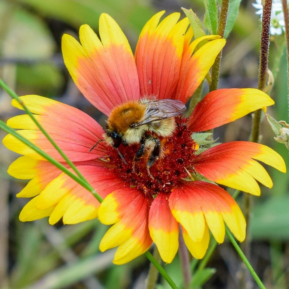 Photograph by Валерий Федяров