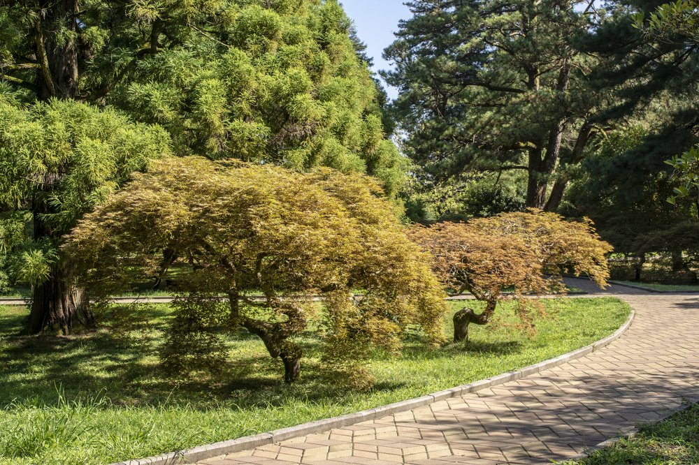 Photograph by vladimir khukhunalshvili