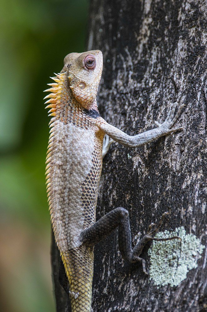 Фотография автора Anil Prabhakar