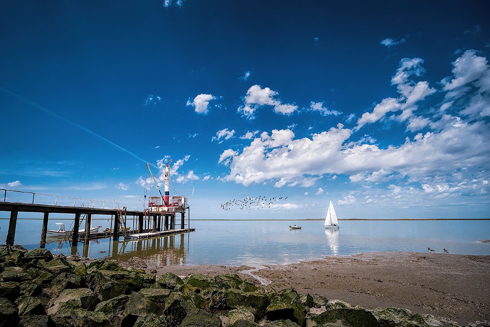 Photograph by Fabian Olivera