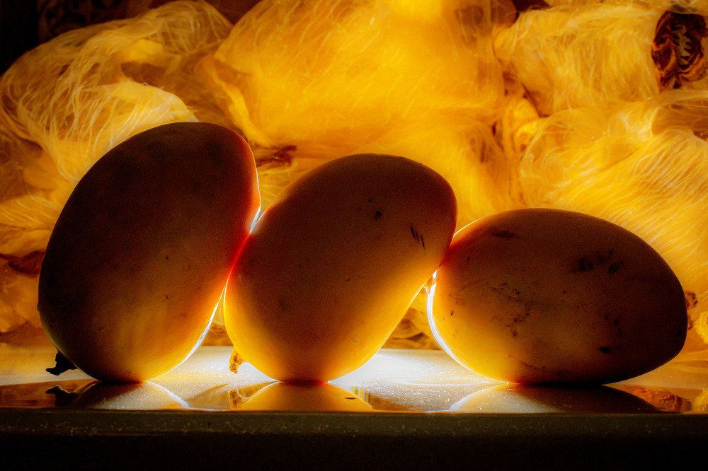 Photograph by Abolfazl Jafarian