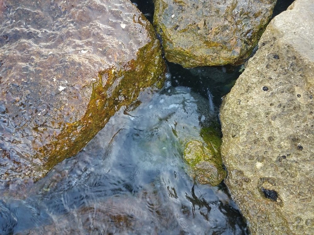 Photograph by Ishaq Hassan