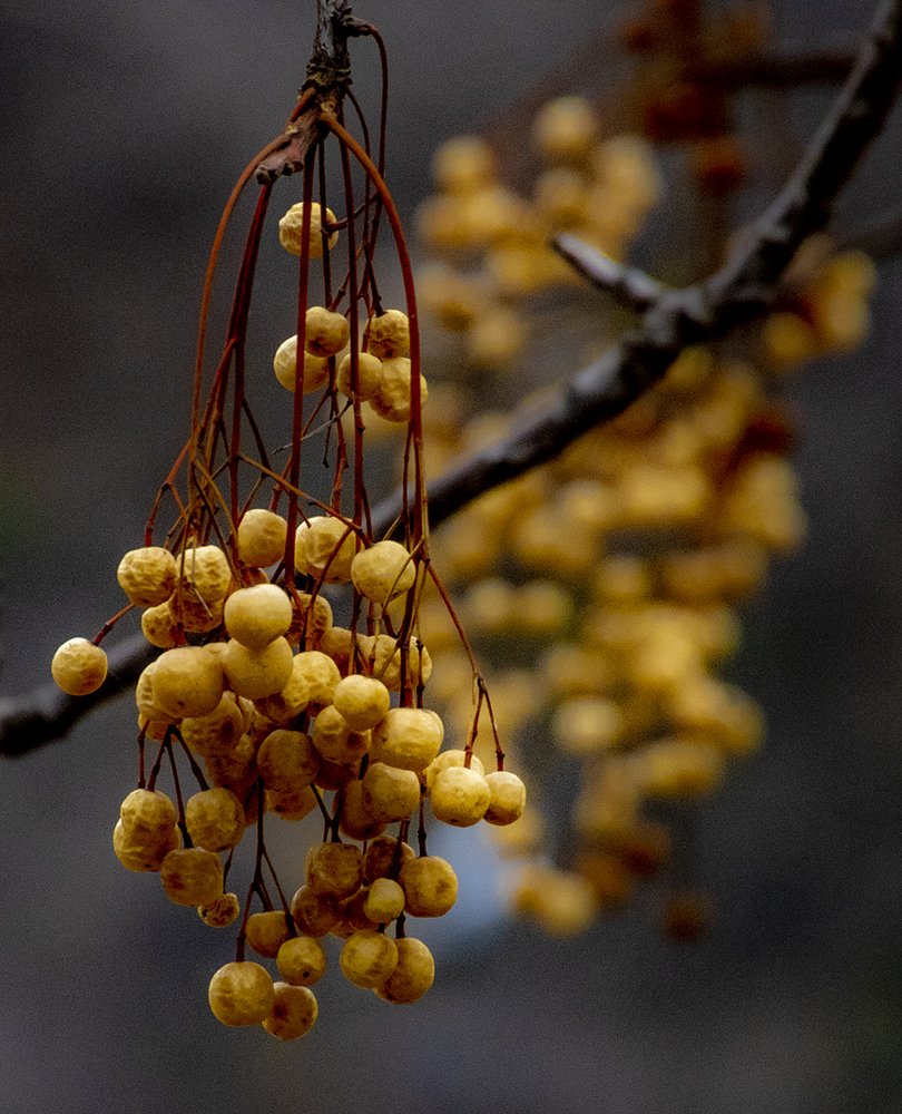 Photograph by Alex Kalpus