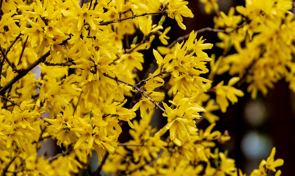 Photograph by Alex Kalpus