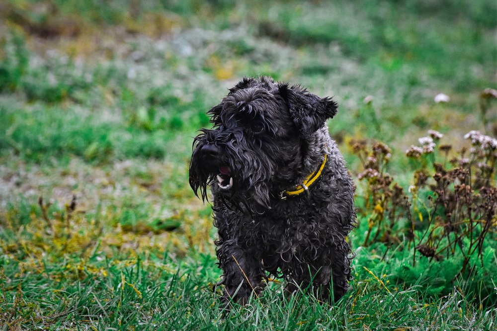 Photograph by Амир Гильмутдинов