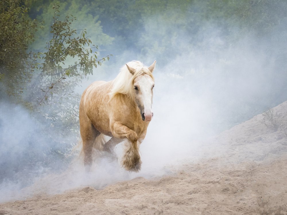 Photograph by Anna Kirienkova