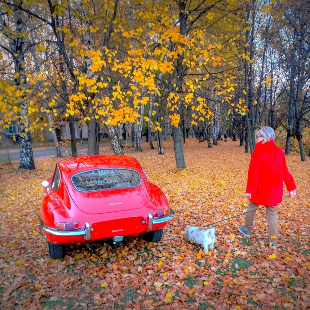 Притяжение красного к красному...