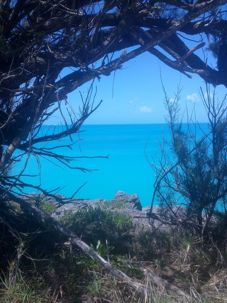 Photograph by Darlene