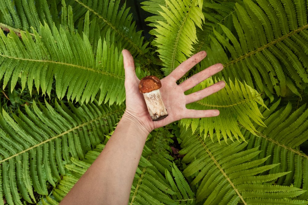 Photograph by Полина Кожухарь