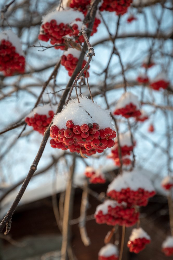 Photograph by Полина Кожухарь