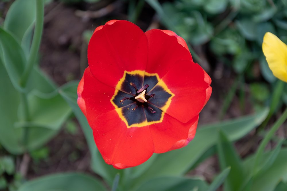 Photograph by Полина Кожухарь