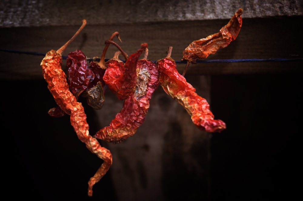 Photograph by Teodora Sarbinska