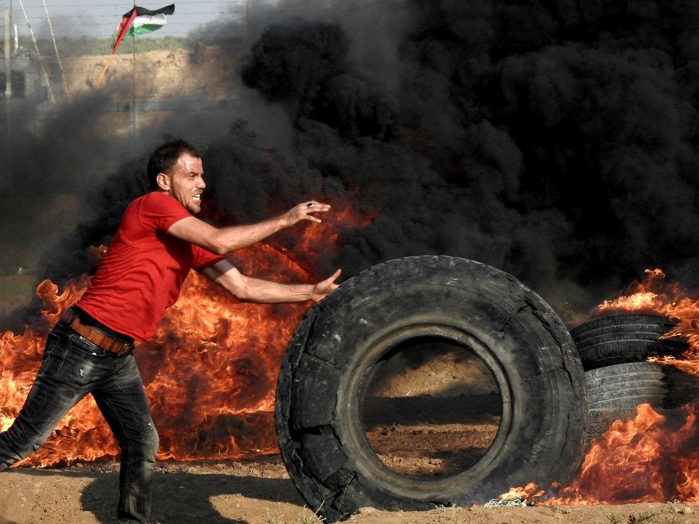 Photograph by العرعير مصباح