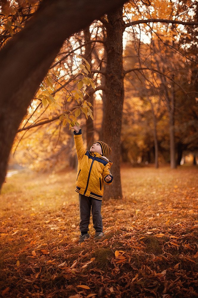 Photograph by Татьяна Реутова