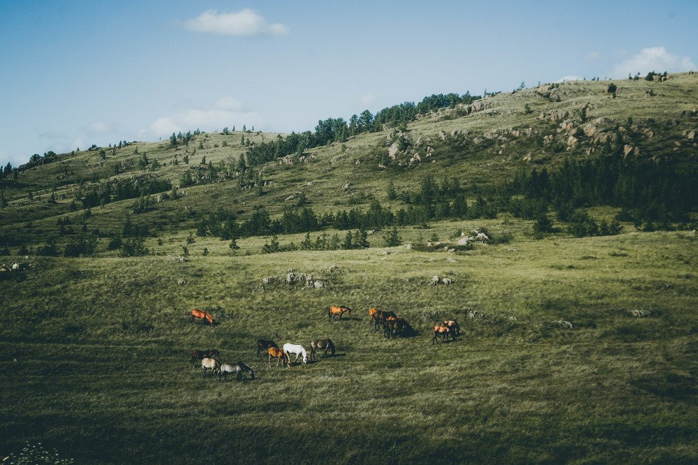 Photograph by Розита Гильманова