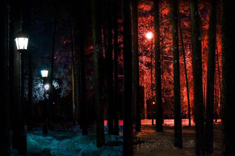 Photograph by Розита Гильманова