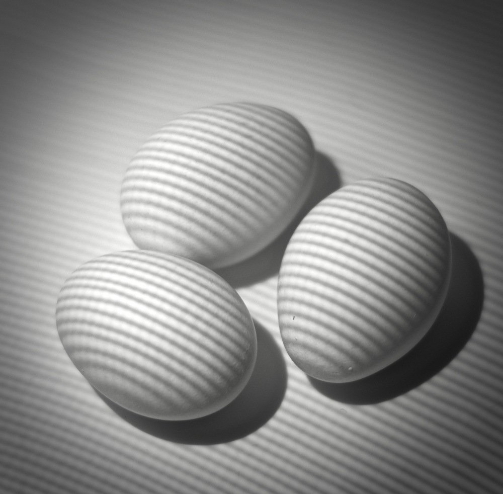 Photograph by Nadezda Sarap