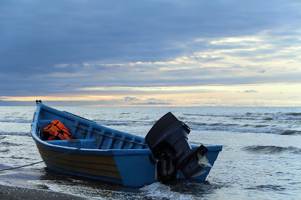 Photograph by Neda Ghiasi