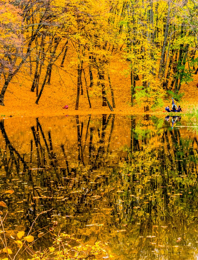 Photograph by Олександр Дмитрук