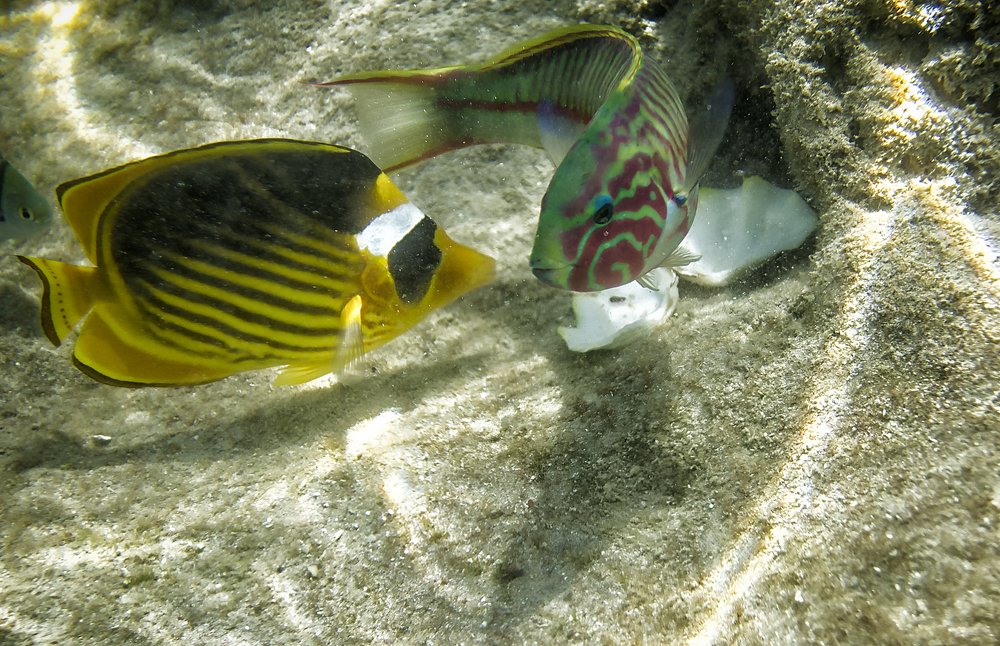 Photograph by Сергей Мордань