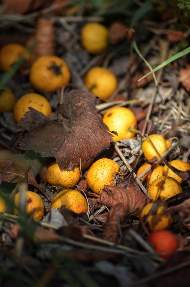 Photograph by Юрий Олейников