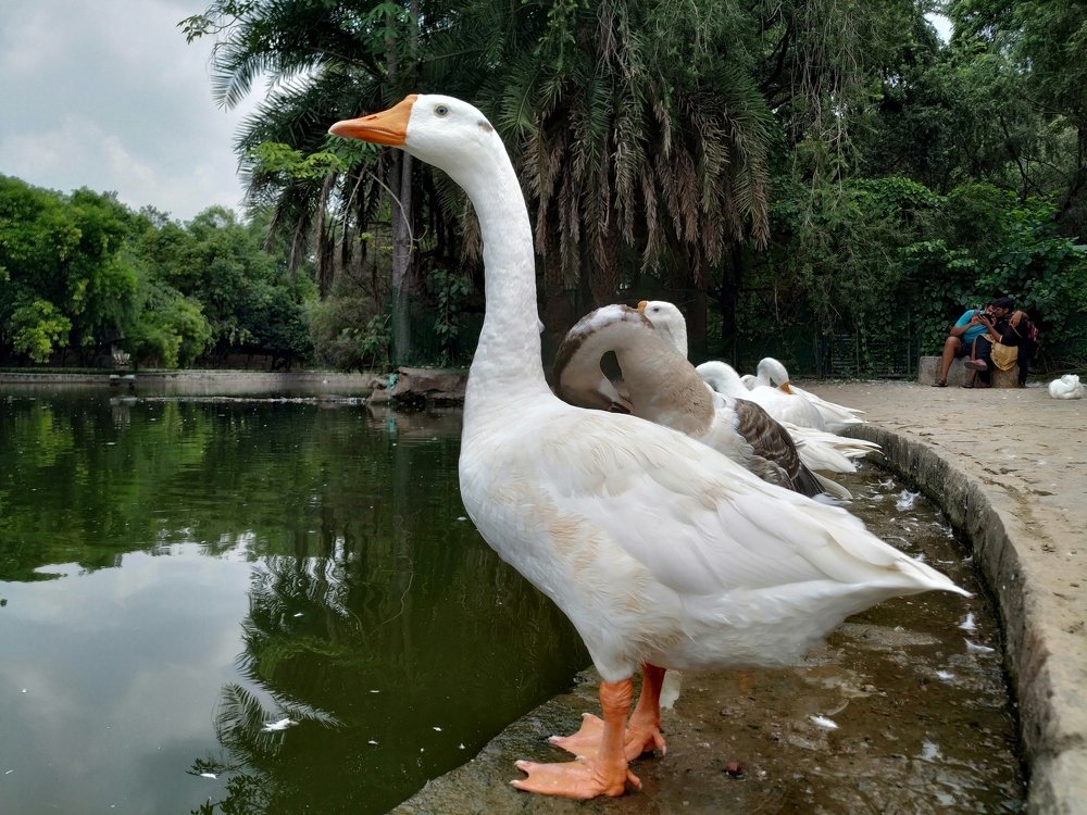 Photograph by CHHATRA NITWAL