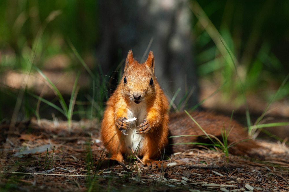 Photograph by Andrew Mikhaylov