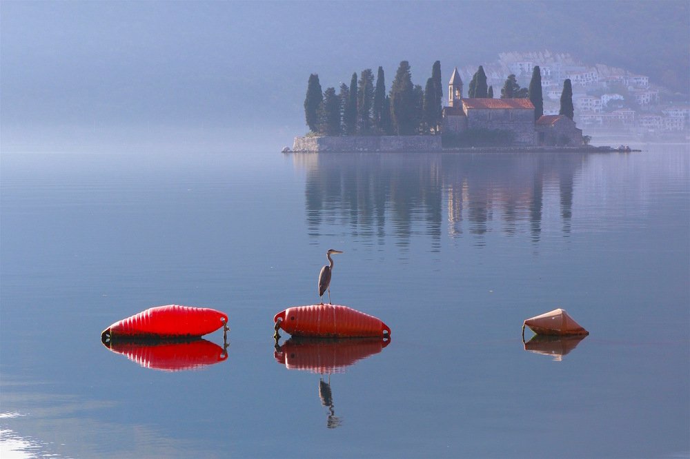 Утренние акценты