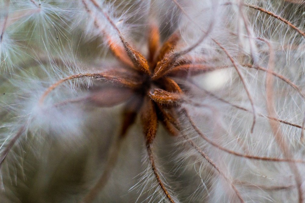 Photograph by Andrew Mikhaylov