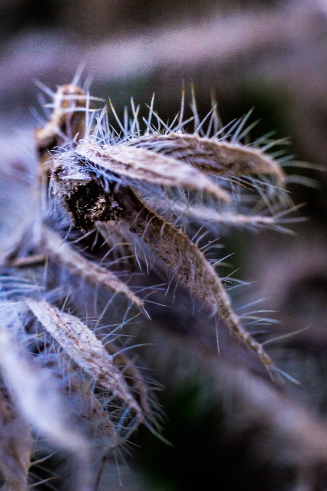 Photograph by Andrew Mikhaylov