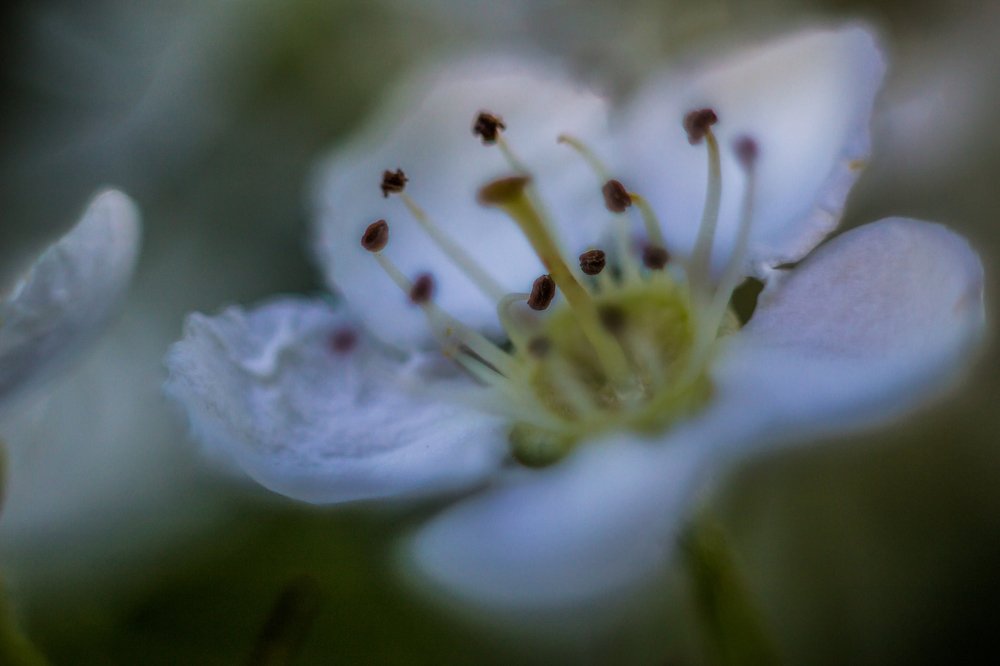 Photograph by Andrew Mikhaylov